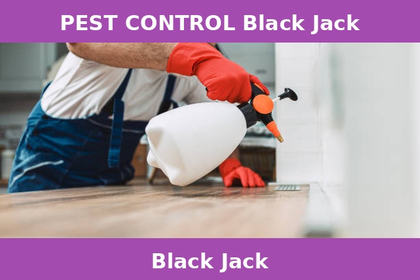 PEST CONTROL Black Jack